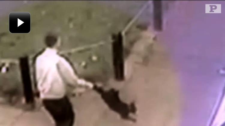 AFSLØRET. Videooptagelserne fælder 20-årig mand efter grov mishandling af tamkat. 