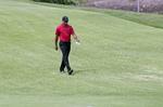 Formfremgang. Tiger Woods skal i den kommende uge spille Presidents Cup med det amerikanske hold, der møder et mandskab bestående af ikke europæiske spillere. 
