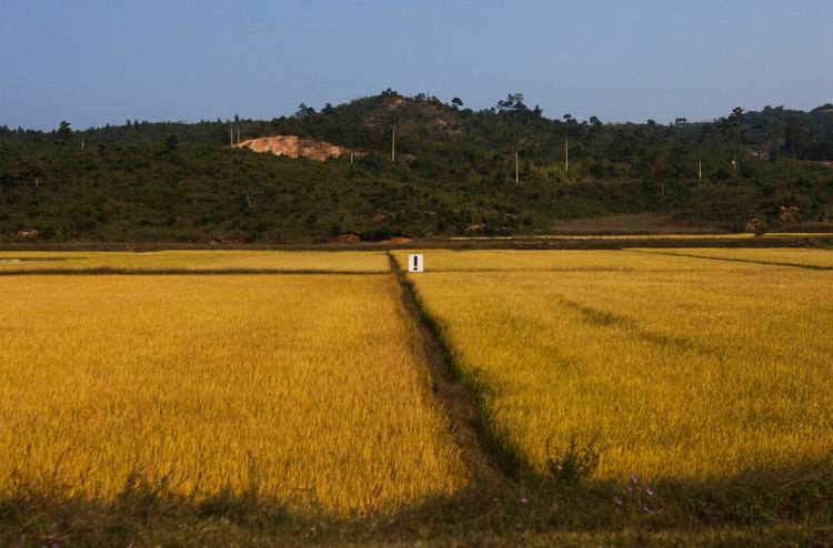 Et  skilt med et udråbstegn på en mark i den østlige del af landet. Skiltet er det sidste i en række med bogstaver, som  tilsammen udgør en sætning, der skal motivere områdets arbejdere. 
