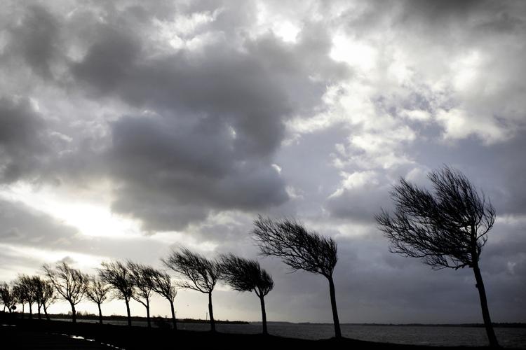 Blæsevejr. Ifølge DMI bliver vejret blæsende og ustadigt i næste uge. Der er mulighed for stormvejr næste weekend. 
