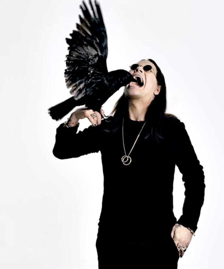 SULTEN. Ozzy Osbourne er stadig i live og har appetit på mere. Det er den store gåde i portrættet af manden med  rockhistoriens  formentlig største misbrug. 