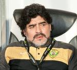 vred. Diego Maradona har siden august siddet i trænersædet i den ukendte - men ambitiøse - klub, Al Wasl fra De Forenede Arabiske Emirater. 