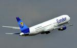 REJSEGIGANT. Et af Thomas Cook-koncernens fly letter fra lufthavnen i Frankfurt. 