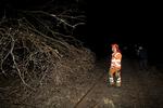 Storm. S-tog var uden strøm på grund af et væltet træ. Passagererne blev først  evakueret efter to en halv time i toget. 
