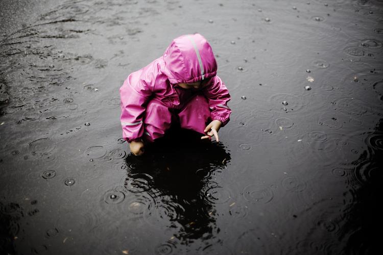 Efterår. I den kommende uge kommer den regn, som november ellers har været fattig på. 