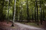 Klimapix