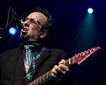 Råd. Elvis Costello  troede først, at prisen på hans nye bokssæt på 1800 kroner var en trykfejl eller et satirisk indslag. Det var det ikke. Nu fraråder han køb. 