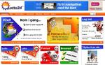 scam kalder sikkerhedsfirmaet CSIS Lotto24's hjemmeside og har derfor lukket for adgangen til den for mellem 250.000 og 300.000  ansatte i firmaer, som CSIS samarbejder med. Men de fleste private netbrugere har adgang til siden. 