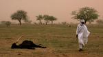 Akut. Niger er på mange måder sultens epicenter. Landet tegner sig for en femtedel af de børn, der globalt blev behandlet for svær akut fejlernæring på offentlige sundhedsklinikker i 2010, bl.a. som følge af svære vilkår for små landbrug. 