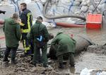 Desarmering. Siden lørdag har tyske bombeeksperter forsøgt at uskadeliggøre to kæmpe bomber fra Anden Verdenskrig. 