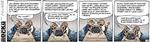 rocky_2011-12-29