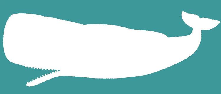 Alt i hval. Den ny Moby Dick-oversættelse demonstrerer et imponerende ordforråd, men også bare et nydeligt dansk. 