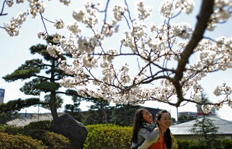 Forår. Det lysner for Japans turisme. Turister vil bl.a. til Japan for at se kirsebærene springe ud. Det sker normalt første uge i april i Kyoto og Tokyo. 