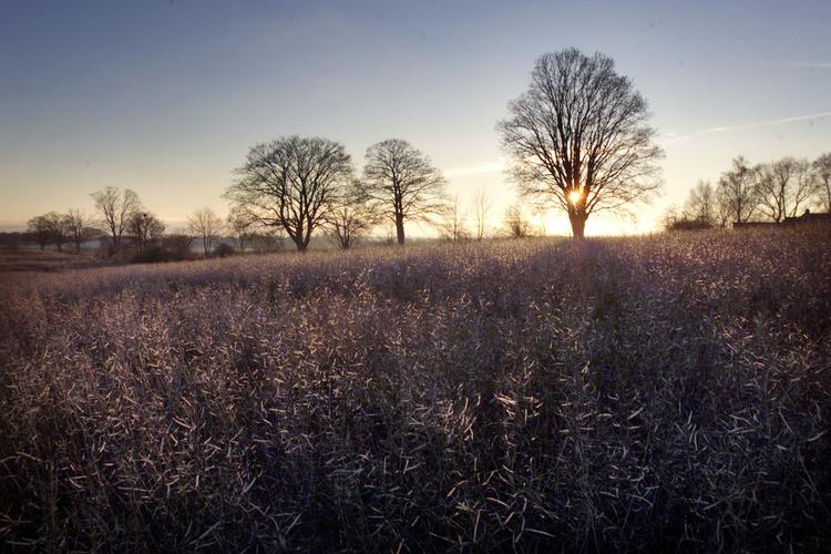 jul? »Det tyder på mildt vejr, så langt øjet rækker«, siger Olaf Mathiassen, vagthavende meterolog ved DMI. 