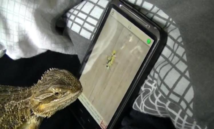 Mums. Hvis man ikke lige selv kan slå rekorden, så er det godt, man har en boende, der er rap på tungen. 