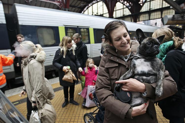 VOV. Hovedbanegården i København vrimler lige nu med mennesker, gaver - og hunde - der skal hjem til jul. 