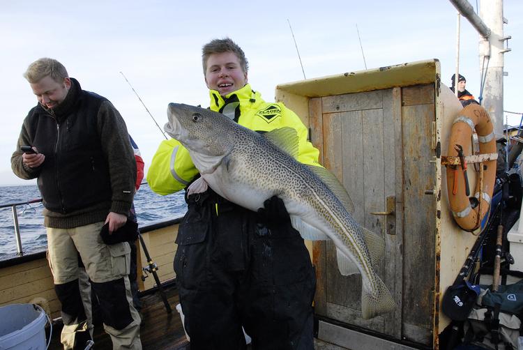 Til 15 personer. En flot nytårstorsk på cirka 9 kg fanget om bord på turbåden Skjold. Der fiskes ikke mange af de store torsk i Øresund i øjeblikket, de kommer senere. Men tre mindre torsk på 2-3 kg kan også gøre det til en nytårsmiddag. 