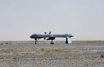 Spionfly. Et amerikansk dronefly er klar til afsendelse på Kandahar-basen i Afghanistan. 