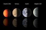 Særsyn. Misser du Venus' passage om et halvt års tid, skal du vente til 2117, før du får chancen igen. 
