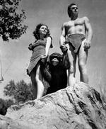 Ak. Alting har en ende. også Cheetah, der her står med Johnny Weismuller og Maureen O'Sullivan i en scene fra 'Tarzan the Ape Man' fra 1932. 