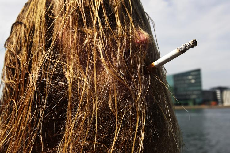 Nybegynder. Når cigaretter ikke er synlige, vil færre unge begynde at ryge, siger de radikale. Giver du dem ret? 