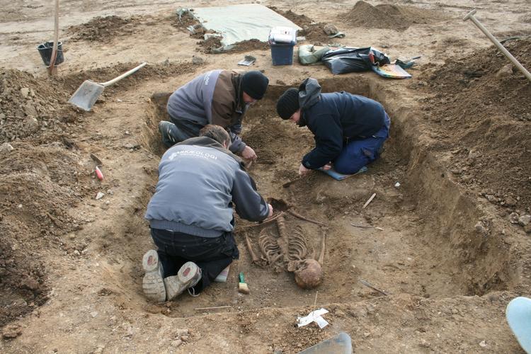 OLDTID. Både professionelle og amatører har i år fundet ting og gjort opdagelser, der ændrer opfattelsen af historien. Her er det fundet af kæmpevikingen i Taastrup. 
