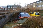 Storm. Kraftige vinde ruskede i briterne i dag. 