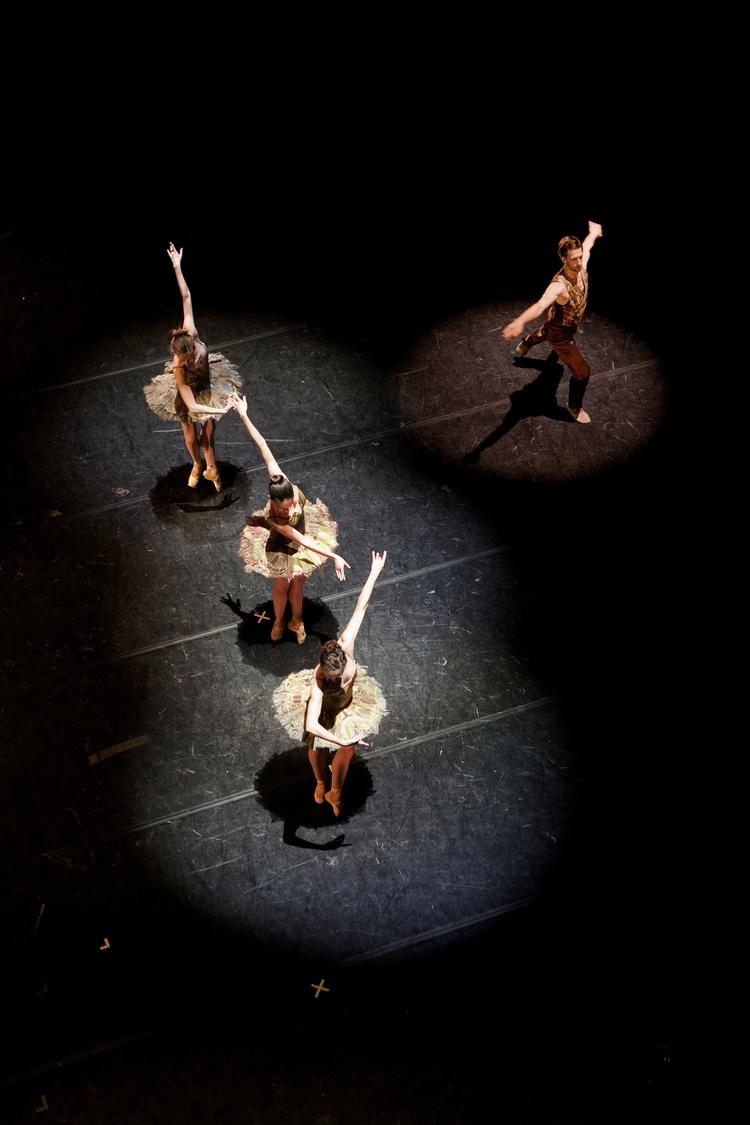 Frygt. Den Kongelige Ballet skal spare. Balletdanserne kæmper desperat for at undgå fyringerne. 