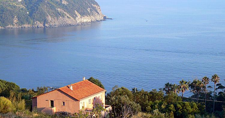 POPULÆRT. 3,6 millioner sofasurfere er nu registreret verden over. 