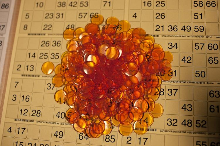 Banko. Sygdomsramte ældre har god gavn af store, kontrastfyldte bingo-plader, viser amerikansk forskning. Her er det dog et par mere almindelige af slagsen. 