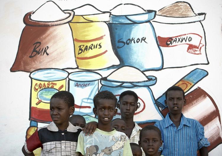 Bistand. Uddannelse og beskæftigelse til unge somaliere har på et år fået 600 unge mænd ud af pirateriet i Puntland i den nordlige del af Somalia, skriver Christian Balslev-Olesen. 