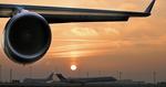 BALLADE. Det islandske lavprisselskab Iceland Express har aflyst alle flyvninger til New York frem til 2013 med et hav af misinformerede kunder til følge. 