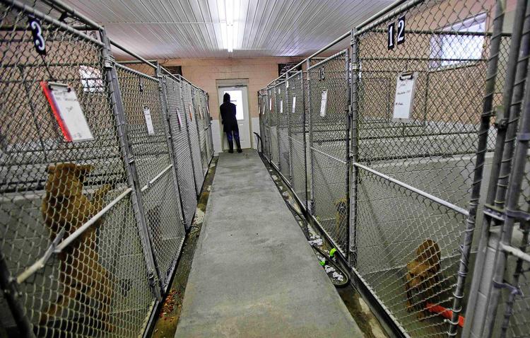 EKSTREMT. At vokse op i et bur giver selvsagt en mangelfuld udvikling hos det barn, der udsættes for absurditeten. 