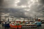Løsladelse. Miljøorganisationen Greenpeace er blevet frifundet for at anbringe gps'er på fiskekuttere fra Gilleleje for at afsløre ulovligt fiskeri af torsk. 