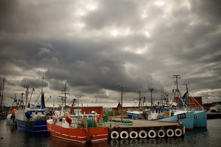 Løsladelse. Miljøorganisationen Greenpeace er blevet frifundet for at anbringe gps'er på fiskekuttere fra Gilleleje for at afsløre ulovligt fiskeri af torsk. 