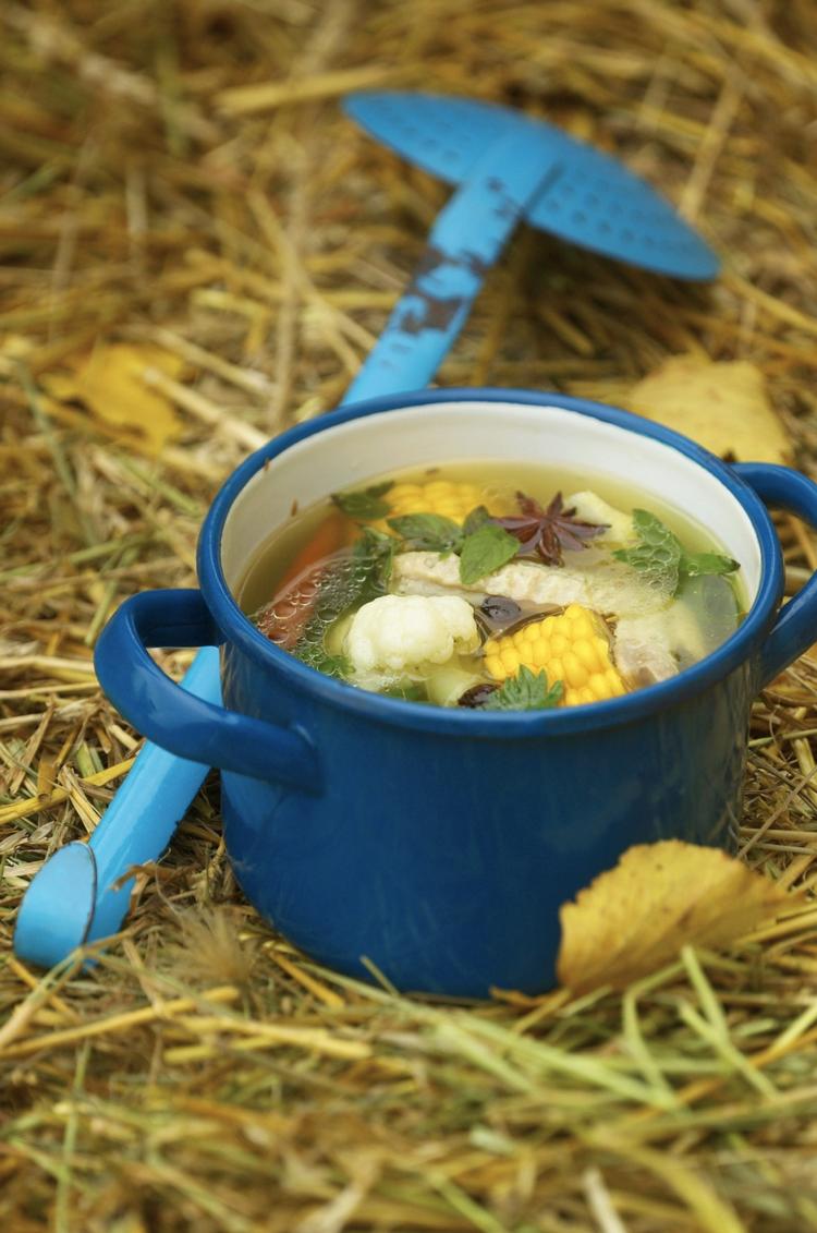 Spidskommen, chili og stjerneanis giver kyllingesuppen smag. Foto: Pia Enghild. 