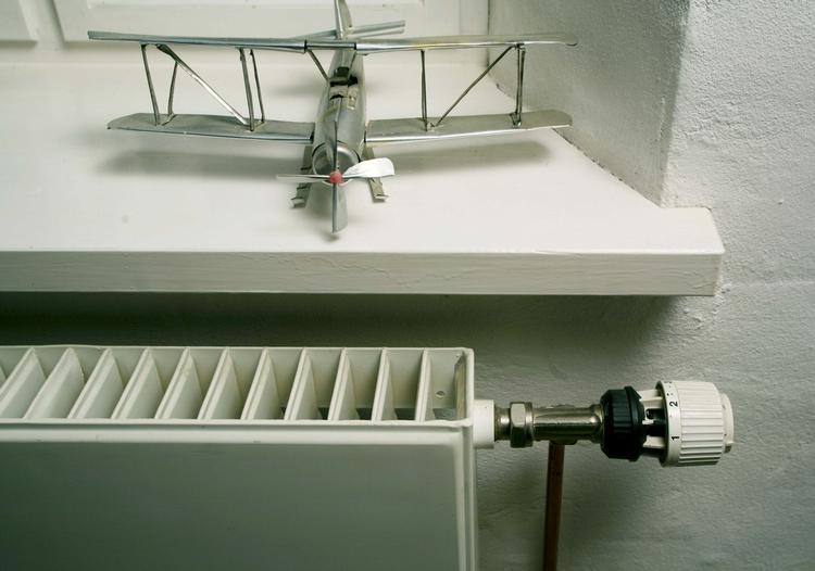 regning. Mange husejere skal have flere penge op ad lommen de kommende år, hvis regeringens ambitioner om 100 procent grøn energi i 2050 skal føres ud i livet. 