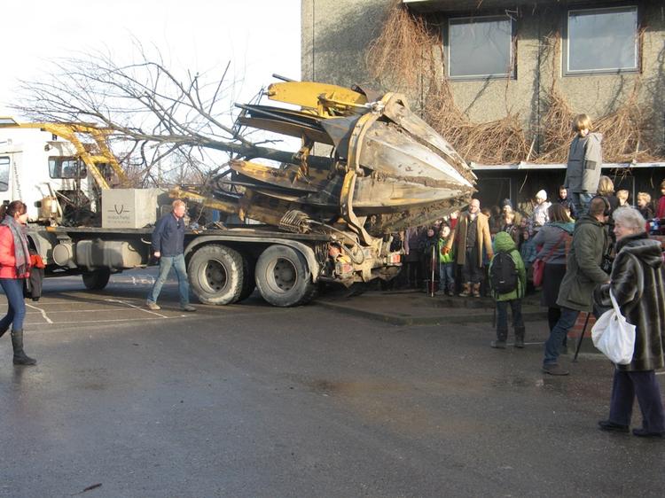 Stort. Et kejserlindetræ på omkring 4-5 meter blev fredag flyttet til en skole på Amager. 