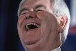 Kapløb. Efter Newt Gingrichs sejr i South Carolinas primærvalg er baglandet i det republikanske parti blevet uroligt, vurderer USA-ekspert Mads Fuglede. 