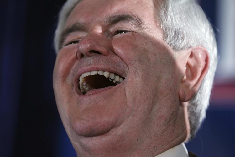 Kapløb. Efter Newt Gingrichs sejr i South Carolinas primærvalg er baglandet i det republikanske parti blevet uroligt, vurderer USA-ekspert Mads Fuglede. 