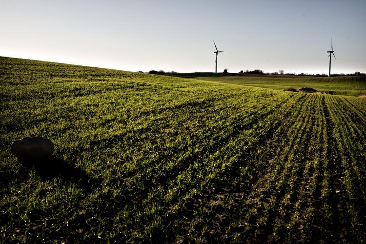Bonus. Omstillingen til vedvarende energi vil skabe grundlag for titusindvis af nye arbejdspladser i de landsdele, der er mest hærget af nedtur og arbejdsløshed. 