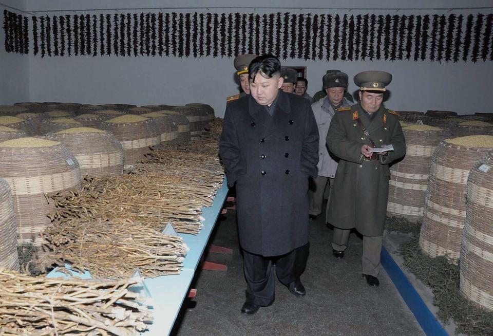 AP/Korean Central News Agency via Korea News Service/AP