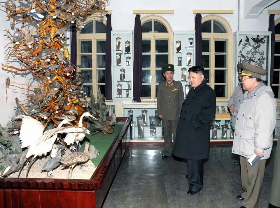 AP/Korean Central News Agency via Korea News Service/AP