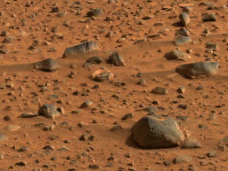 BESØG. Nasas missioner har også bragt os helt tæt på. Her er et postkort fra Mars, taget af den lille rumbil 'Spirit', der blev fløjet til planeten for otte år siden. 