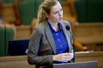 IMOD. Venstre ønsker ikke nogen form for betalingsring, siger Ellen Thrane Nørby. 