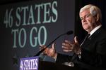 Langvarig. Der mangler stadig 46 stater i det republikanske primærvalg, gør Newt Gingrich meget ud af at understrege. 