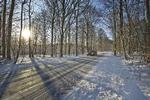 Kulde. De seneste dage har sne farvet en stor del af Danmark hvid. Her er vi på Sydsjælland. 