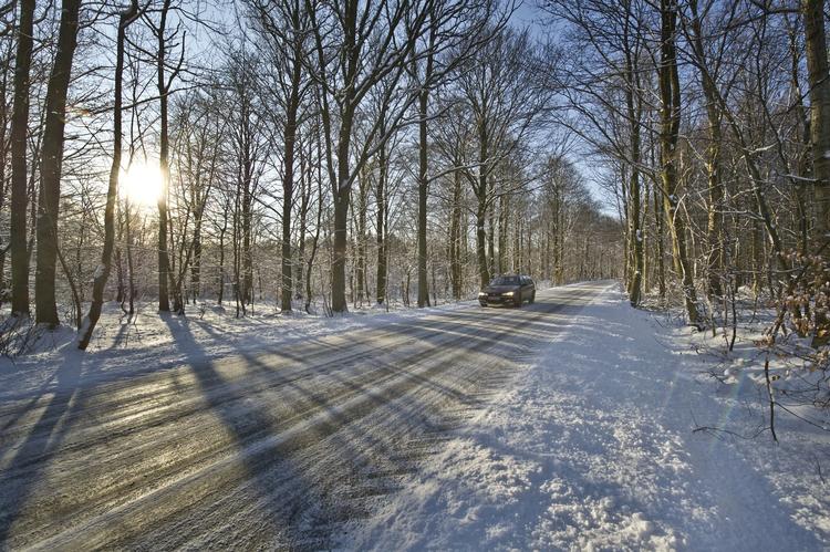 Kulde. De seneste dage har sne farvet en stor del af Danmark hvid. Her er vi på Sydsjælland. 