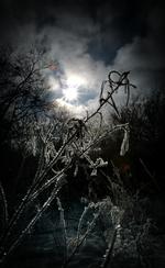 Vintersol
