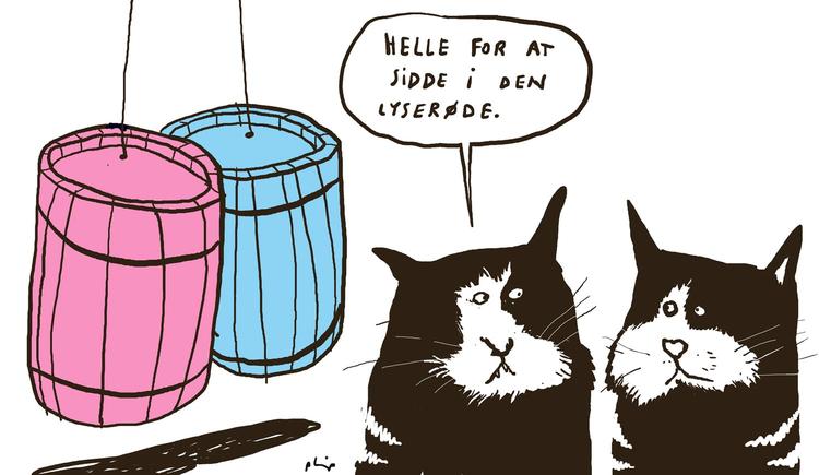 Tønder. Drenge og piger skal have forskellige farver tønder, mener Kvickly, der tilbyder lyseblå og lyserød. Kattene har ingen spurgt.Tegning: Philip Ytournel 